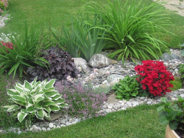 каменистый миксбордер