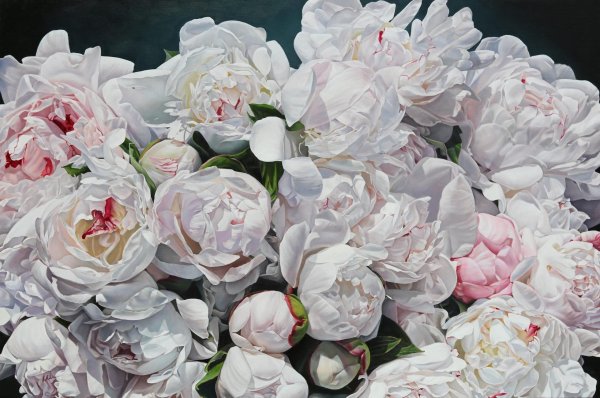 Белые пионы