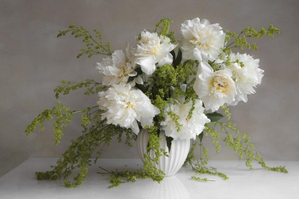 Белые пионы