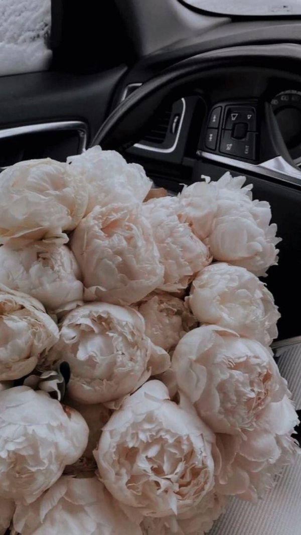 Белые пионы