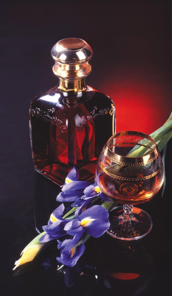 бутылка коньяка