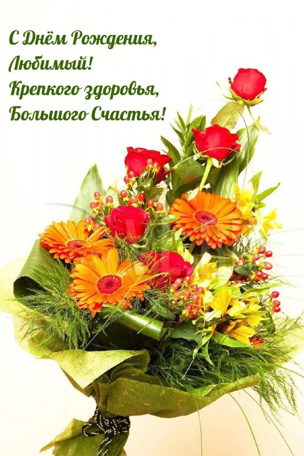 оранжевая гербера