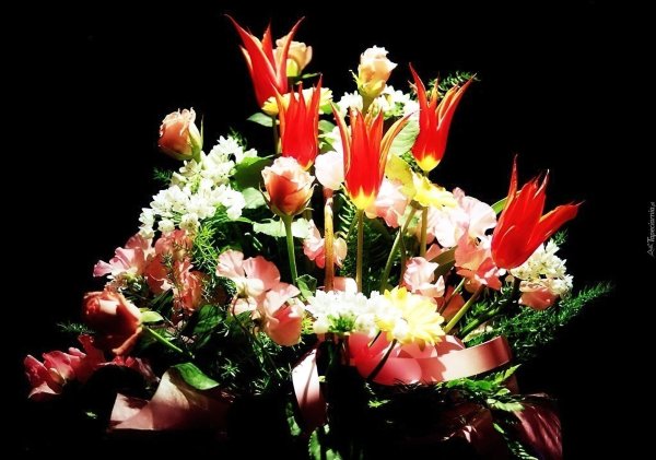 цветы букеты композиции