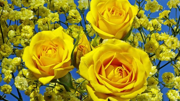 Желтого цвета