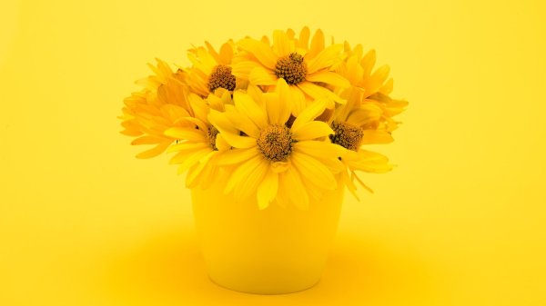 Желтого цвета