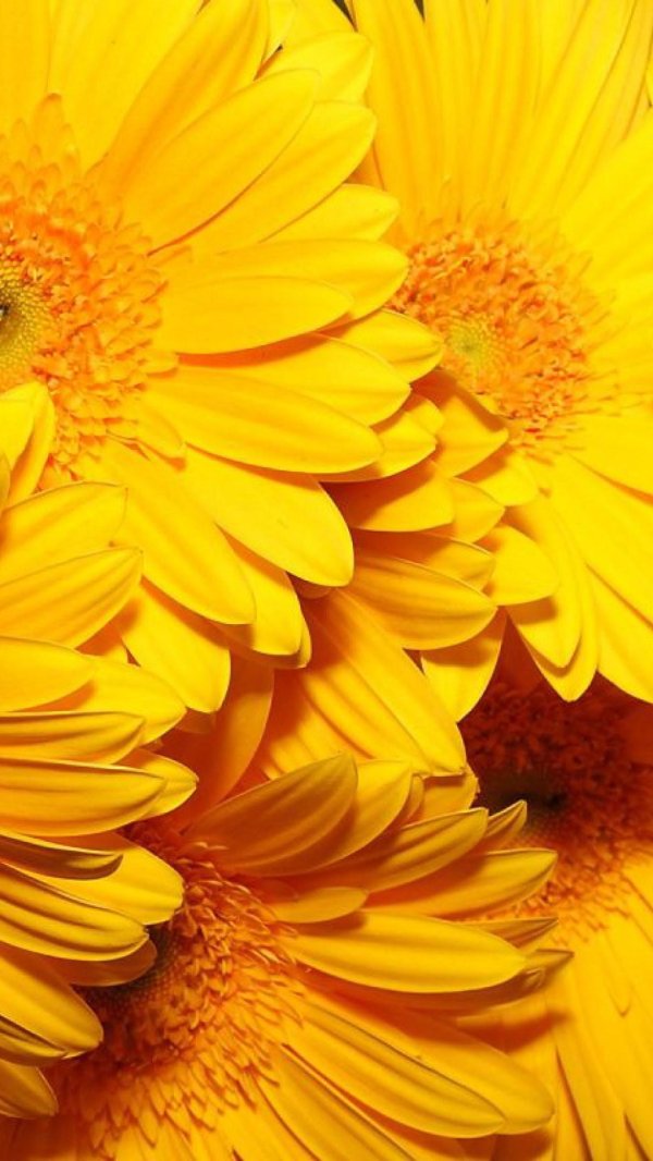 Желтого цвета