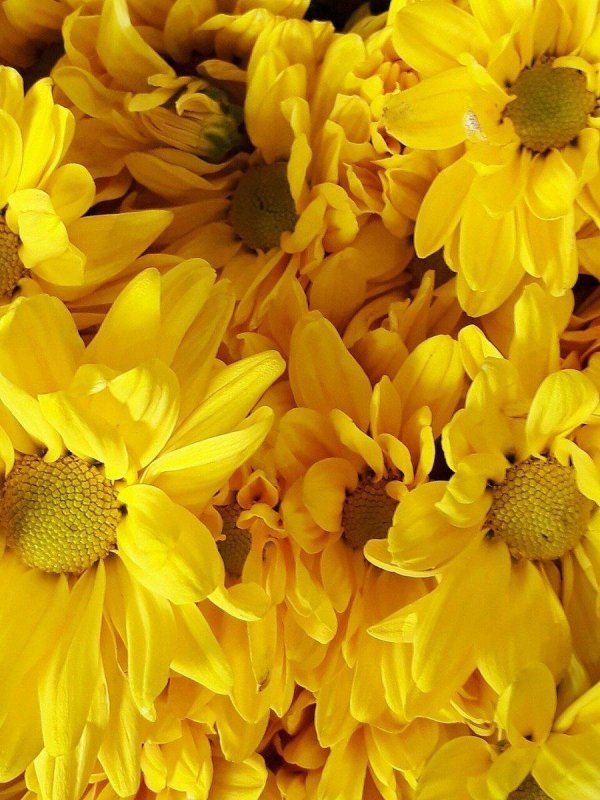 Желтого цвета