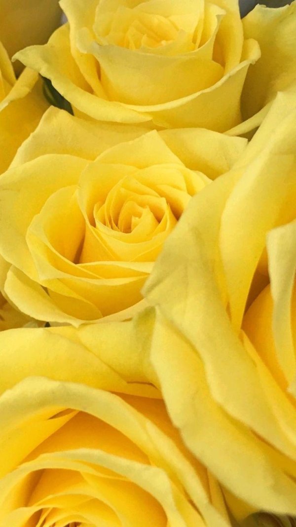 Желтого цвета