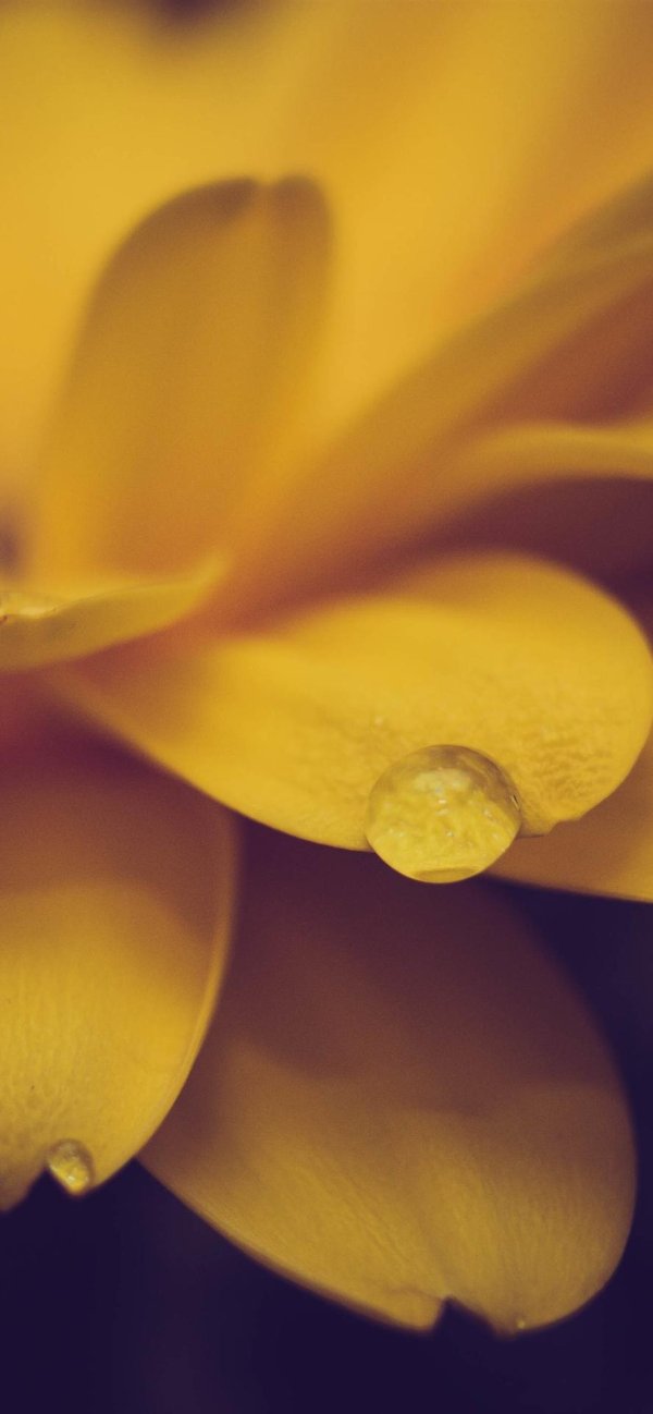 Желтого цвета