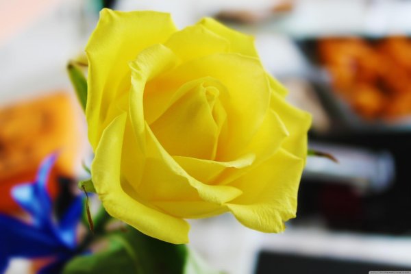 Желтого цвета