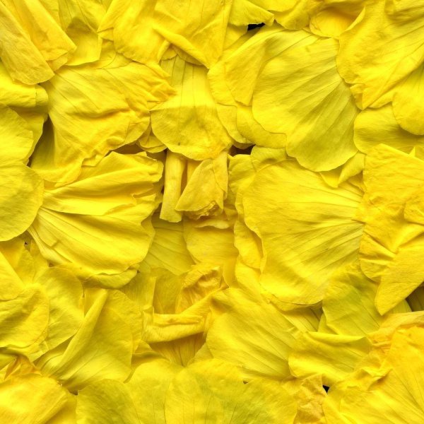 Желтого цвета