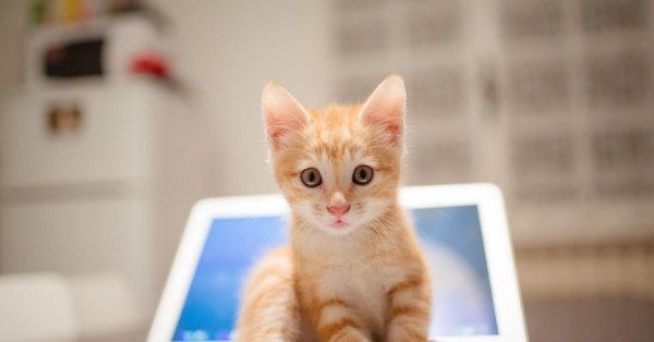 С компьютером