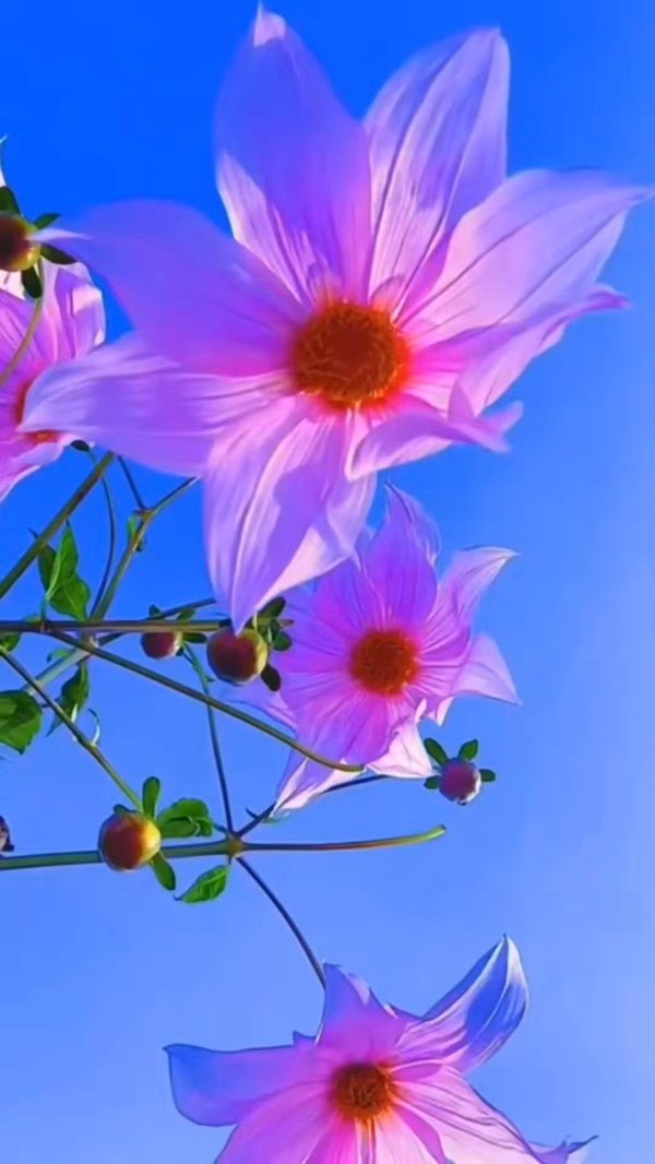 Один цветок