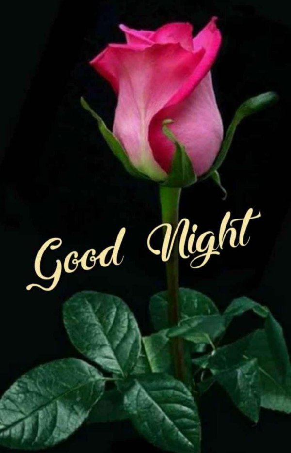 Один цветок