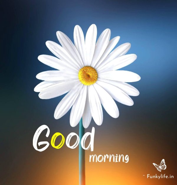 Один цветок