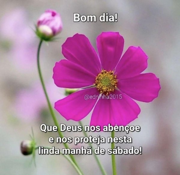 Один цветок