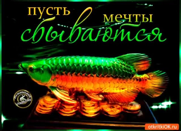 Мечты сбываются