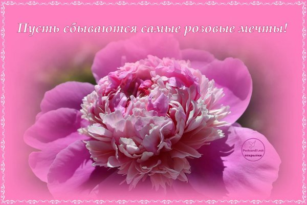 Мечты сбываются