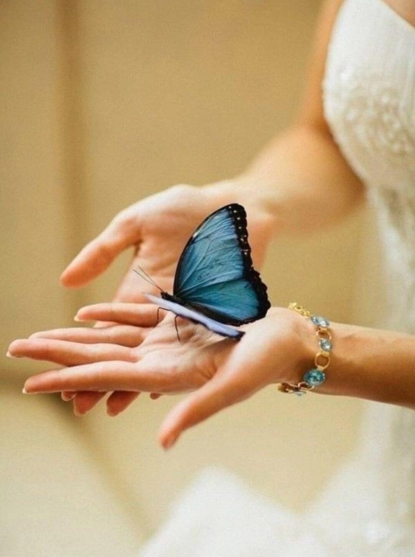 Мечты сбываются