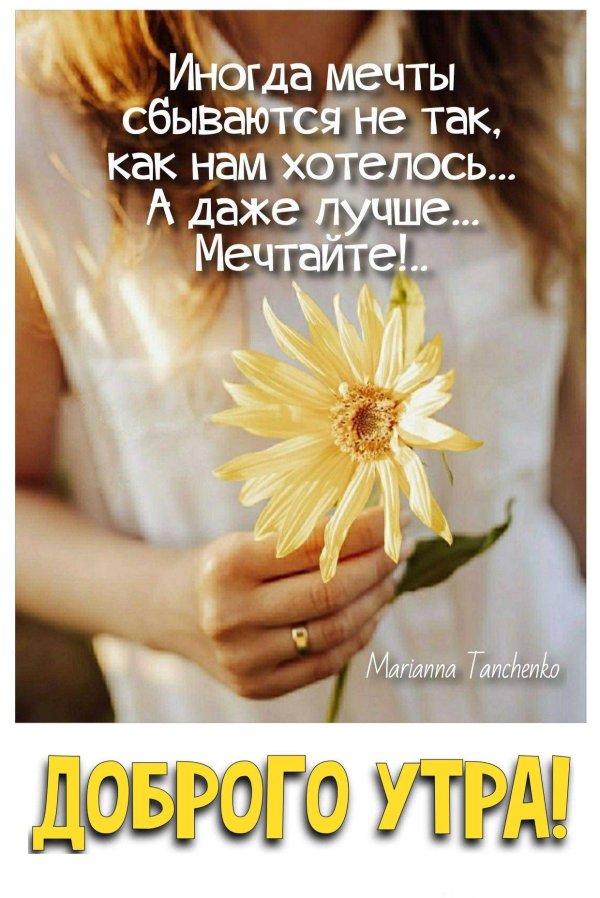 Мечты сбываются