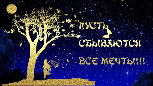 Мечты сбываются