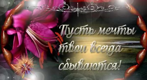 Мечты сбываются