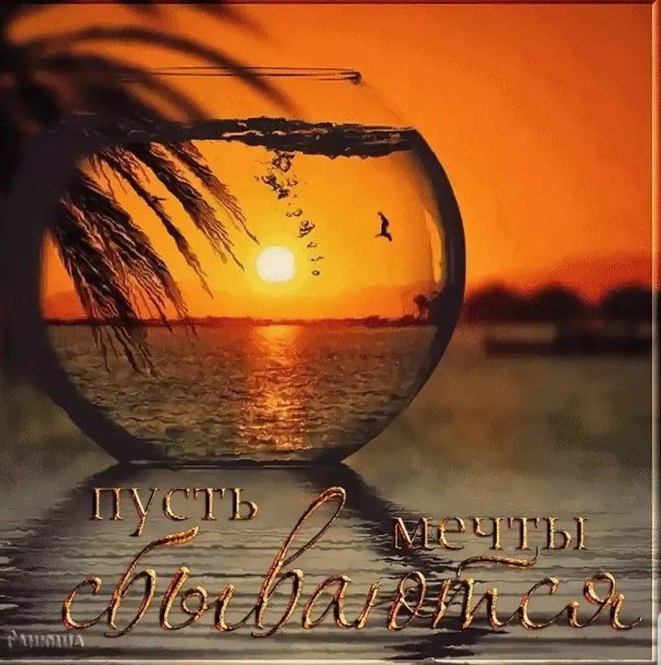 Мечты сбываются