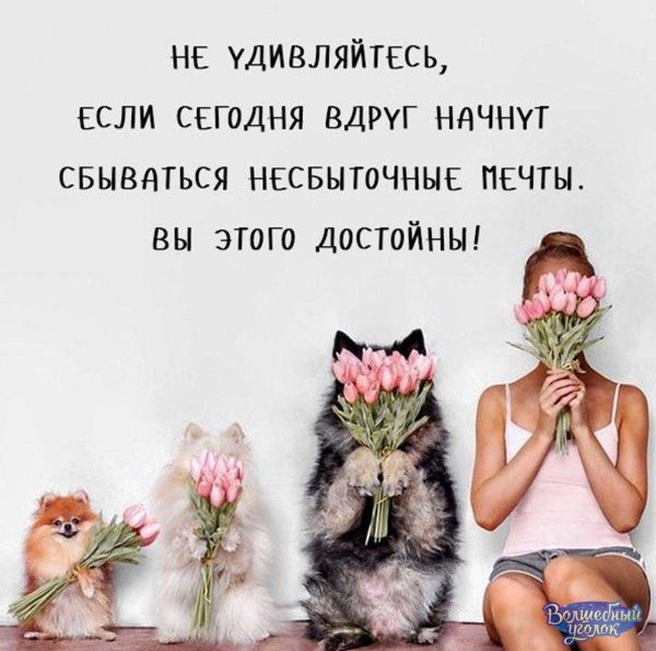 Мечты сбываются