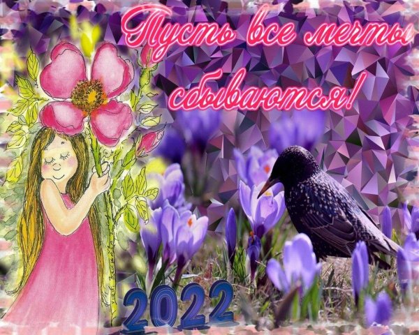 Мечты сбываются