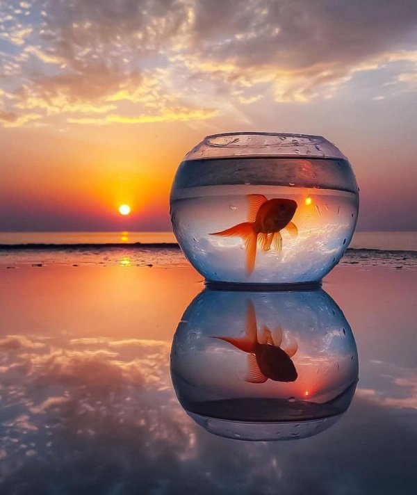 Мечты сбываются