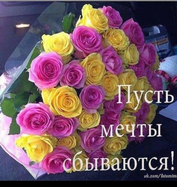 Мечты сбываются