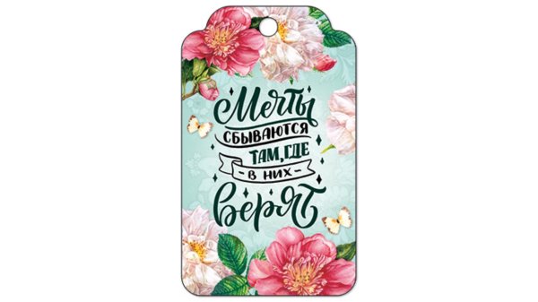 Мечты сбываются