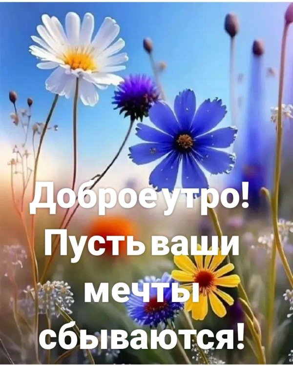 Мечты сбываются