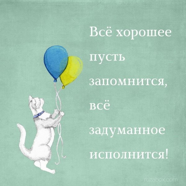 Мечты сбываются