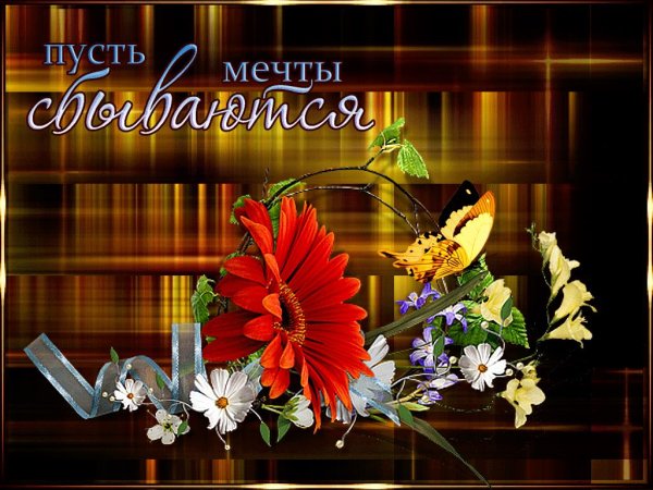 Мечты сбываются