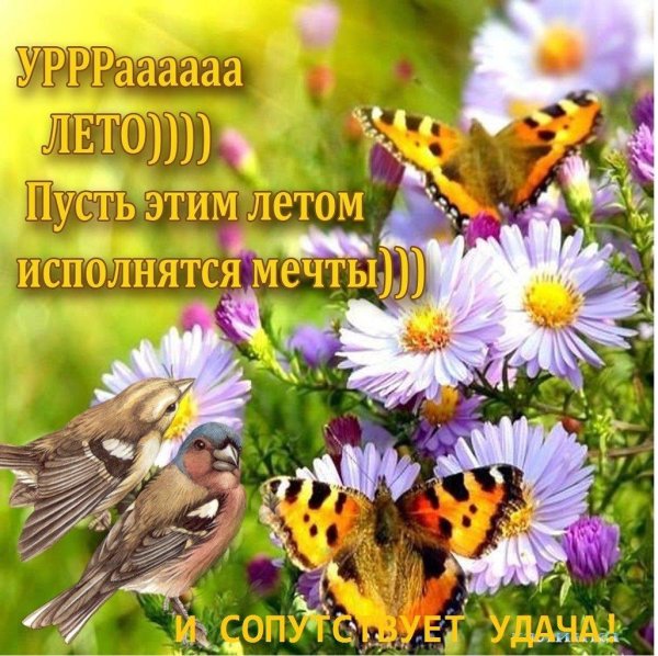 Мечты сбываются