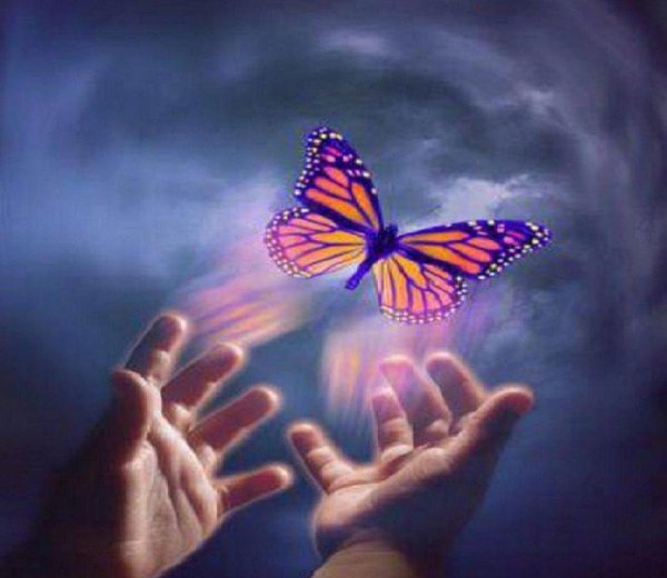 Мечты сбываются