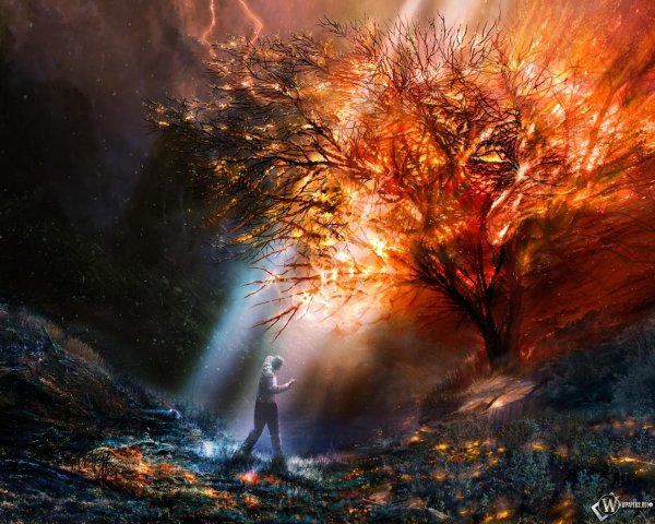 Мистика необычные