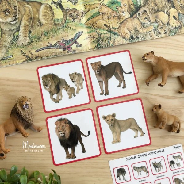 Животных диких