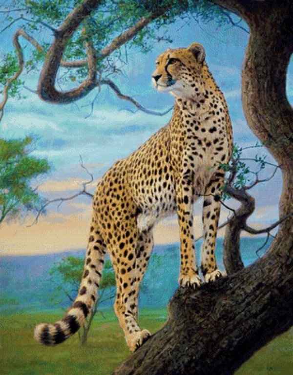 Животных диких