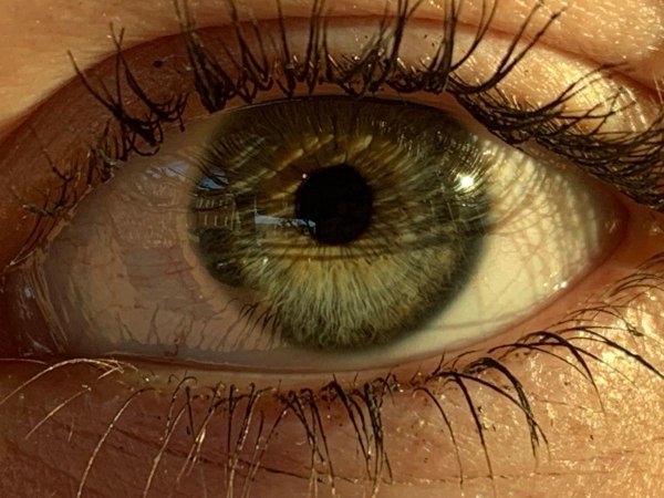 Глаза зеленые