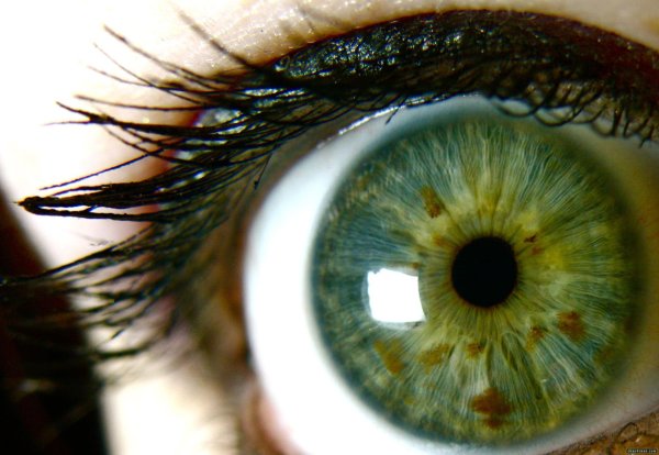 Глаза зеленые