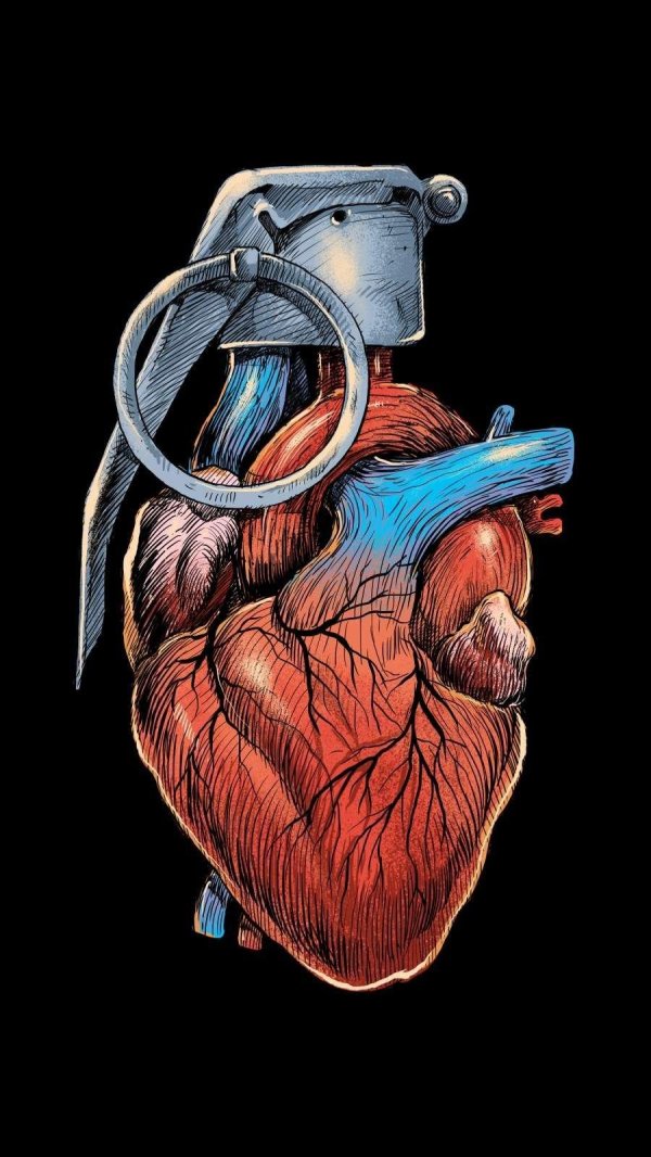 Сердце человека