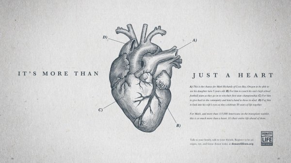 Сердце человека