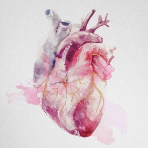 Сердце человека