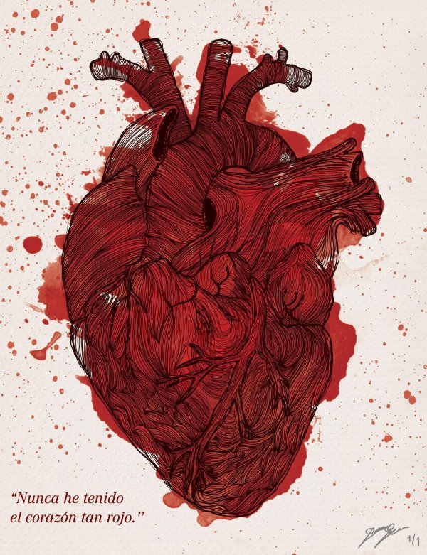 Сердце человека