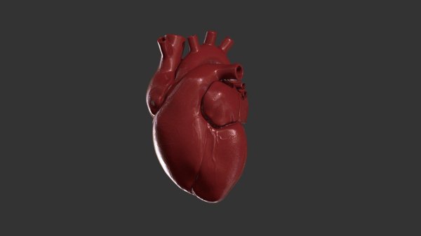 Сердце человека