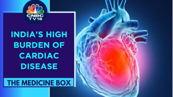 Сердце человека