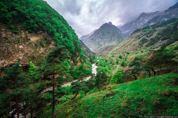 Кавказские