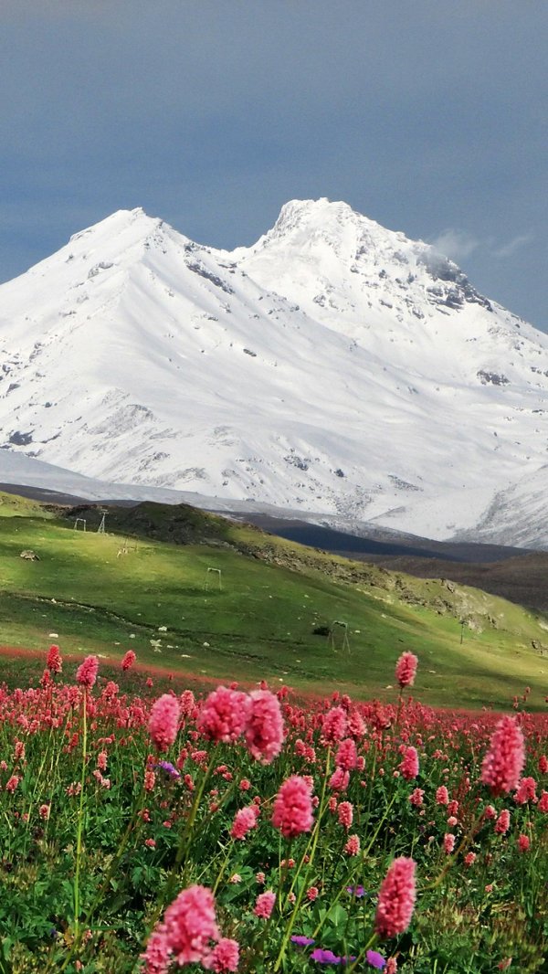 Кавказские